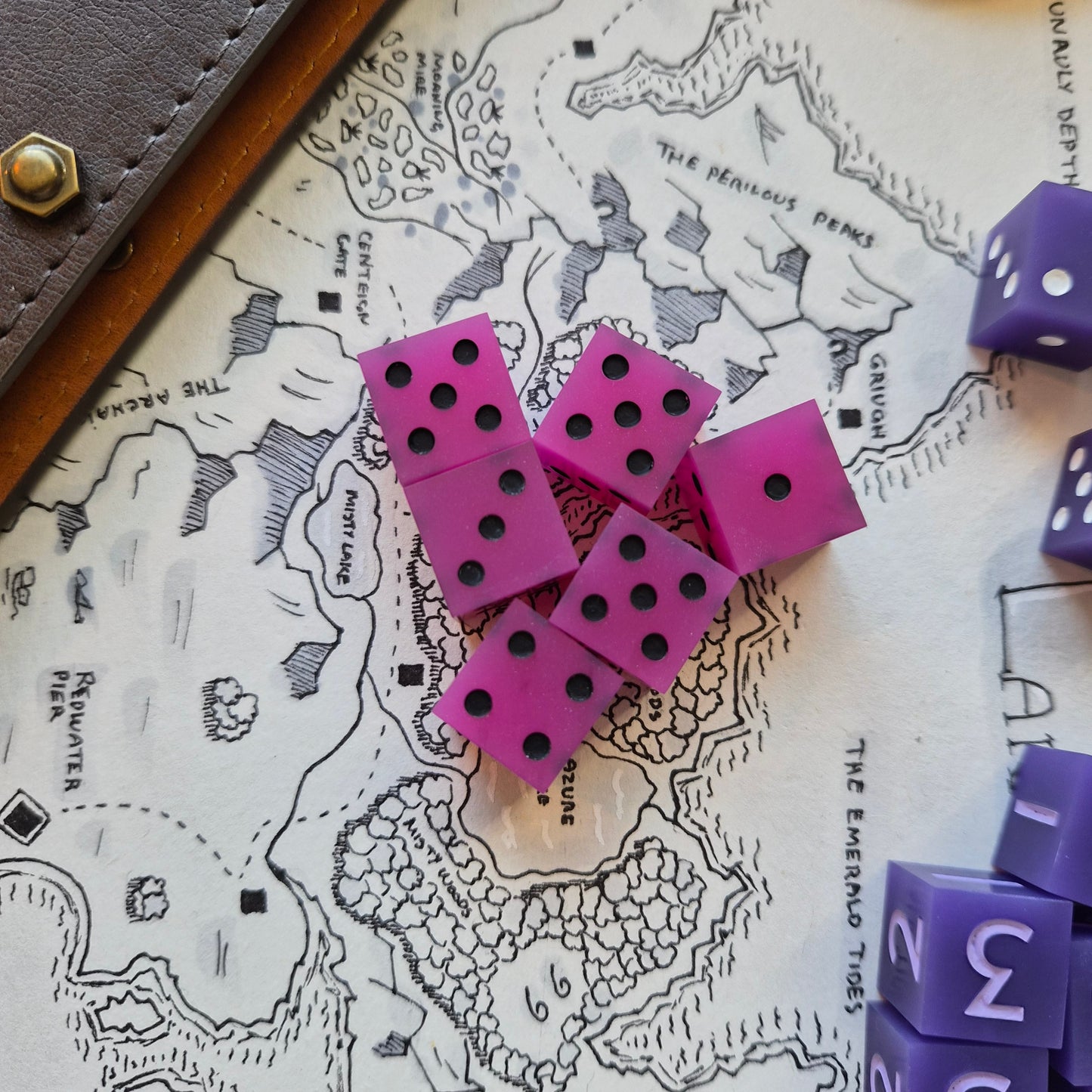 Pink with Black Dots - D6 Set